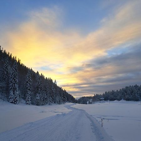 Au Coeur Du Lapidaire Septmoncel-Les-Molunes Esterno foto