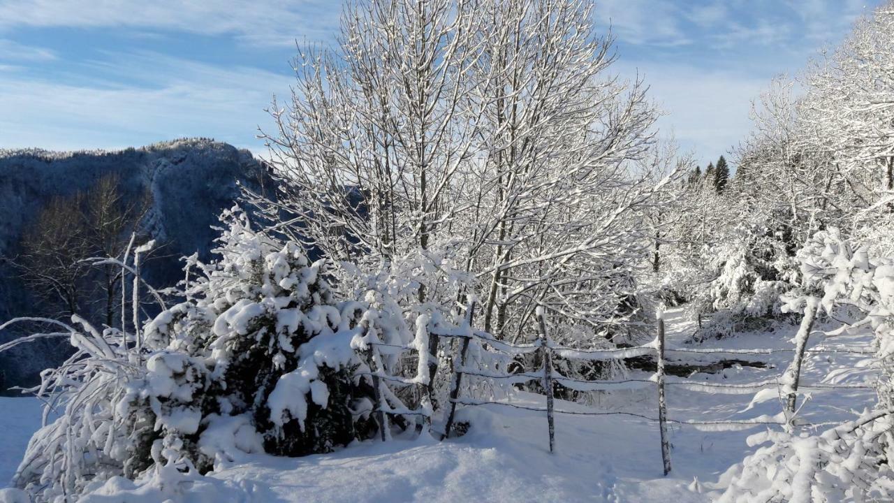 Au Coeur Du Lapidaire Septmoncel-Les-Molunes Esterno foto