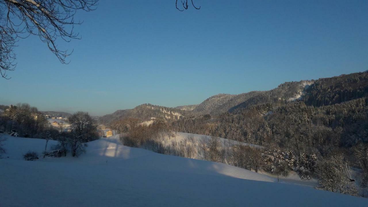 Au Coeur Du Lapidaire Septmoncel-Les-Molunes Esterno foto