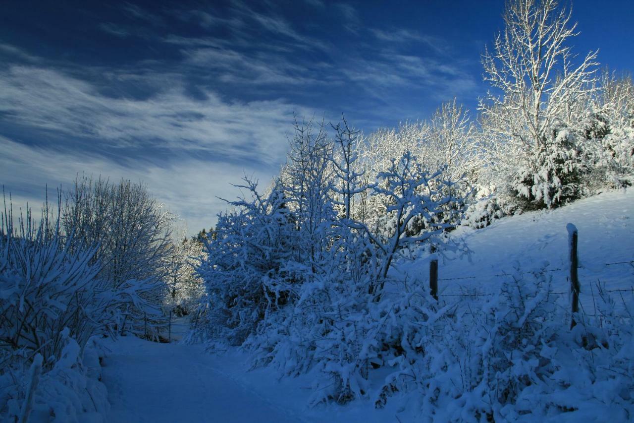 Au Coeur Du Lapidaire Septmoncel-Les-Molunes Esterno foto