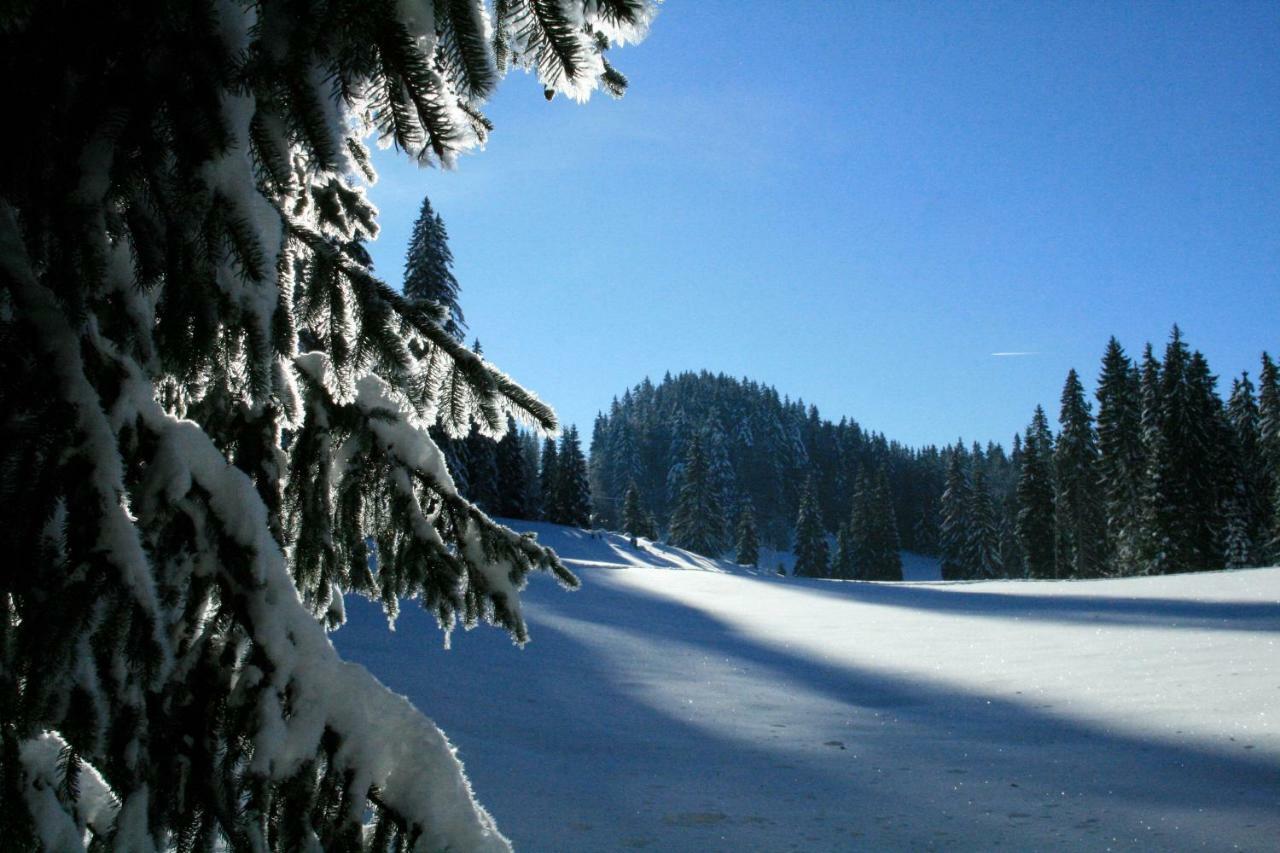 Au Coeur Du Lapidaire Septmoncel-Les-Molunes Esterno foto
