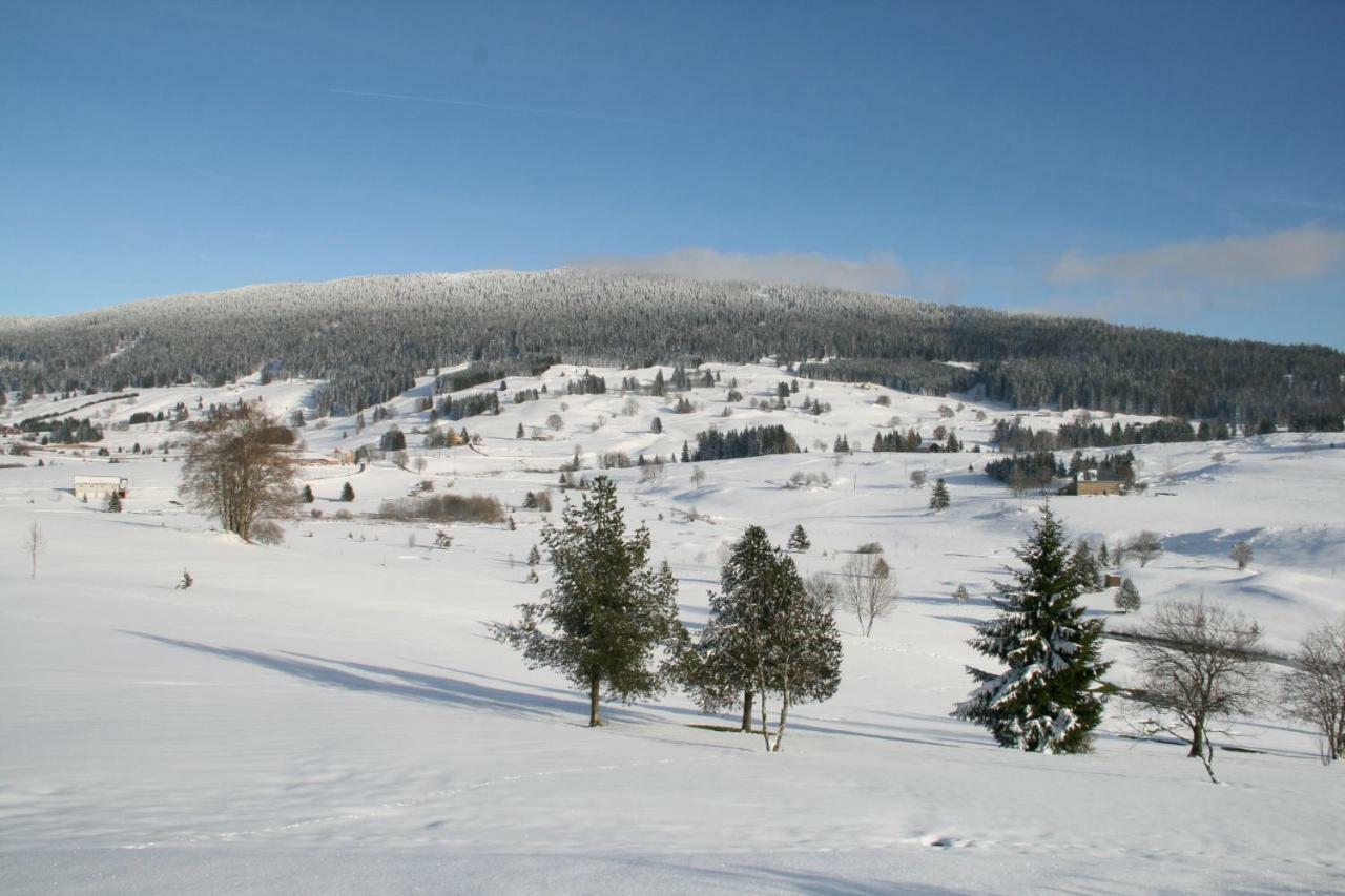 Au Coeur Du Lapidaire Septmoncel-Les-Molunes Esterno foto