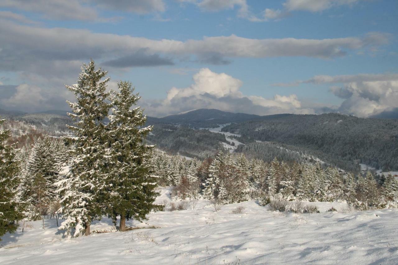 Au Coeur Du Lapidaire Septmoncel-Les-Molunes Esterno foto