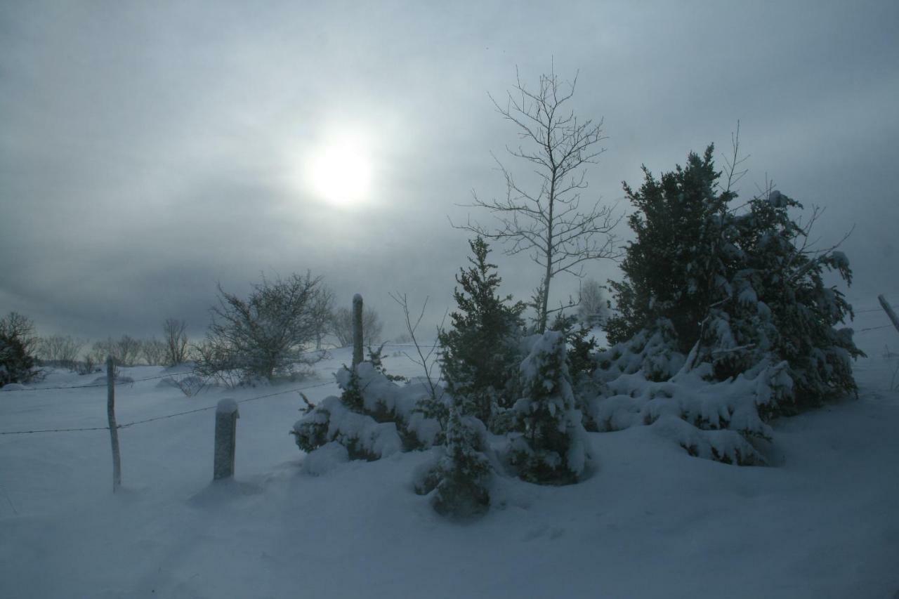 Au Coeur Du Lapidaire Septmoncel-Les-Molunes Esterno foto