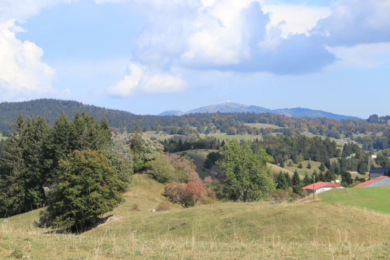 Au Coeur Du Lapidaire Septmoncel-Les-Molunes Esterno foto