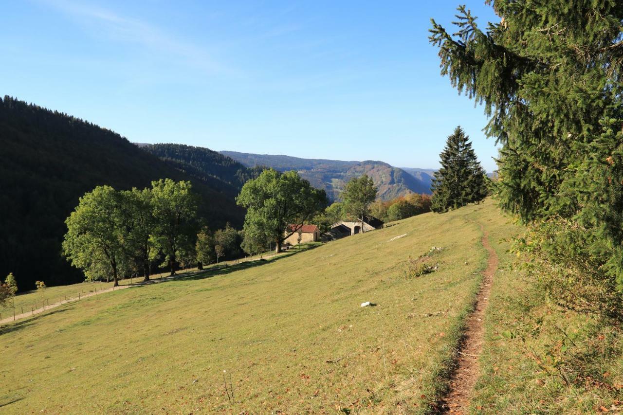 Au Coeur Du Lapidaire Septmoncel-Les-Molunes Esterno foto