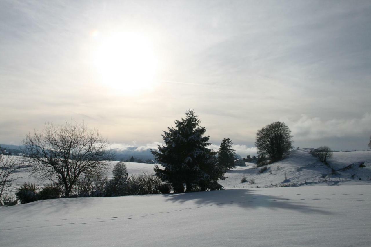 Au Coeur Du Lapidaire Septmoncel-Les-Molunes Esterno foto